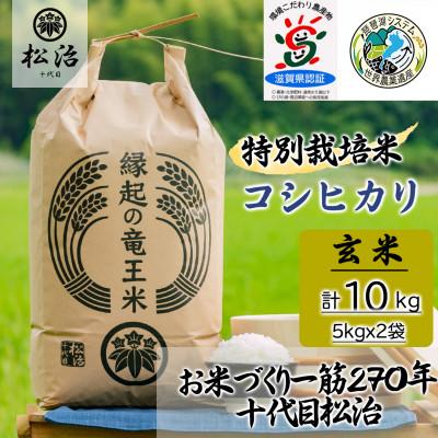 ふるさと納税 竜王町 十代目松治の特別栽培米コシヒカリ 縁起の竜王米 玄米5kgx2袋 魅力的な