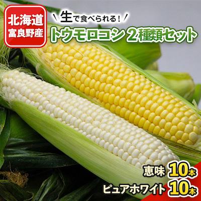 ふるさと納税 富良野市 2026年先行予約 生で食べられるトウモロコシ2種類セット 恵味10本・ピュアホワイト10本