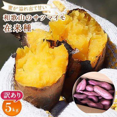 ふるさと納税 日高川町 和歌山のサツマイモ在来種 訳あり5kg