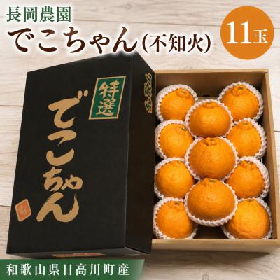ふるさと納税 日高川町 [特選]でこちゃん 熟成 不知火(しらぬい)L〜2Lサイズ11玉/和歌山県日高川町産