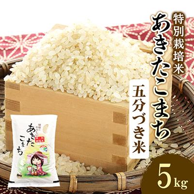 ふるさと納税 大潟村 令和7年産 特別栽培米あきたこまち 五分づき米5kg