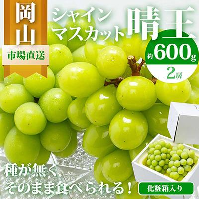 ふるさと納税 玉野市 岡山県産 シャインマスカット『晴王』2房