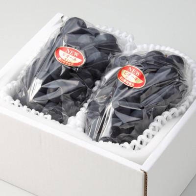ふるさと納税 玉野市 岡山県産 ニューピオーネ2房(約1kg)|y-sf|02