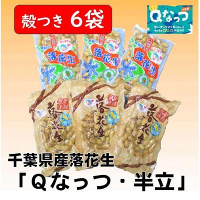 ふるさと納税 大網白里市 千葉県産落花生「千葉半立・Qナッツ」殻つき6袋セット(総容量675g[120g×3・105g×3])