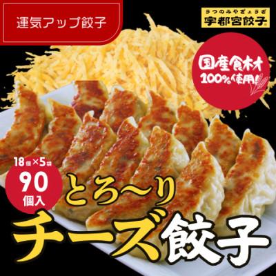 ふるさと納税 宇都宮市 宇都宮餃子 運気アップ餃子チーズ鶏餃子90個 保存料不使用
