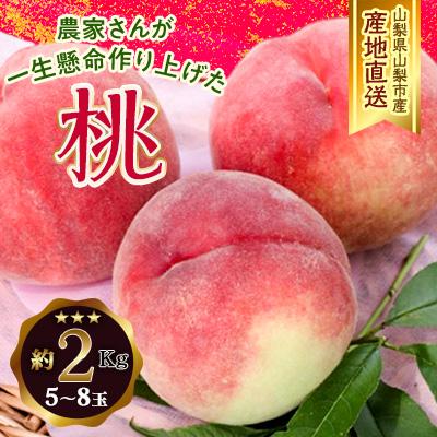 ふるさと納税 山梨市 [ふるさと納税] 山梨県山梨市産 桃 約2kg(5〜8玉)