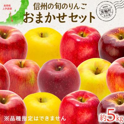ふるさと納税 箕輪町 [2024年]旬!信州のりんご 品種おまかせ 5kgセット