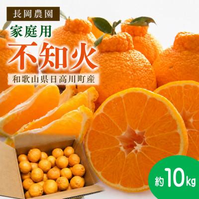 ふるさと納税 日高川町 [家庭用]熟成 不知火(しらぬい)約10kg(サイズ混合S〜L)/和歌山県日高川町産
