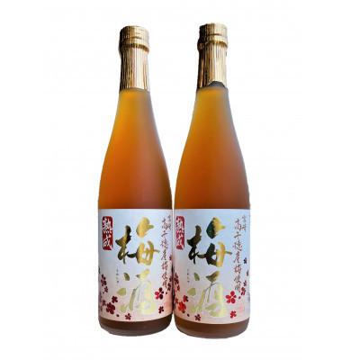 ふるさと納税 日之影町 熟成高千穂梅酒(14度)720ml×2本セット