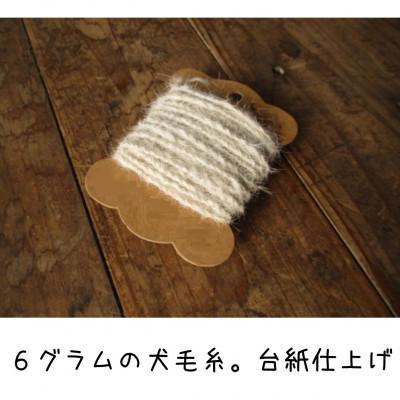 ふるさと納税 久万高原町 犬毛糸　オーダーメイド!あなたの大切なペットの毛が世界で1つの毛糸になります(約2〜6g作成)