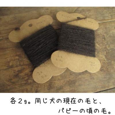 【早い者勝ち！】 ふるさと納税 久万高原町 犬毛糸　オーダーメイド!あなたの大切なペットの毛が世界で1つの毛糸になります(約2〜6g作成) 【2030457816】(13000円)