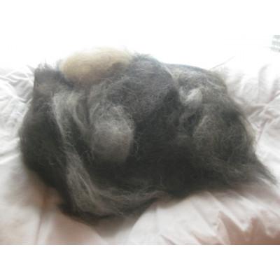 ふるさと納税 久万高原町 犬毛糸 オーダーメイド!あなたの大切なペットの毛が世界で1つの毛糸になります(約15〜25g作成)の画像