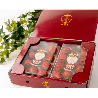 ふるさと納税 みよし市 [産直]完熟よつぼし『四重奏』 愛知県みよし市 2パック(約500g)