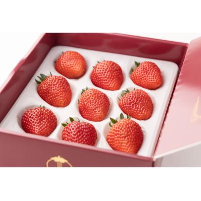 ふるさと納税 みよし市 [産直]完熟よつぼし『四重奏プレミアム』 愛知県みよし市