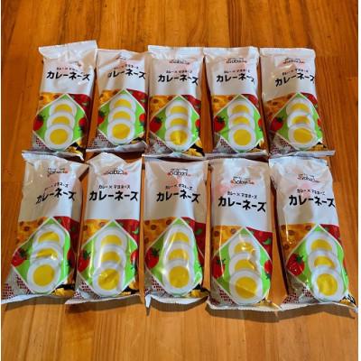 ふるさと納税 唐津市 万能調味料カレーネーズ(10本)