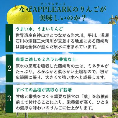 ふるさと納税 藤崎町 [先行受付] 青森県産 王林  約3kg 訳あり 青森りんご｜y-sf｜04