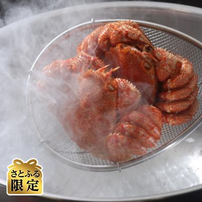 ふるさと納税 北見市 [さとふる限定]漁師の茹で毛蟹3尾セット(合計約1kg)
