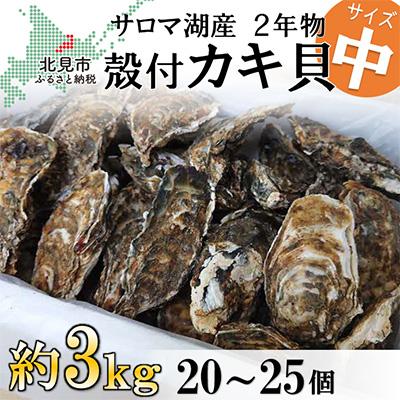 ふるさと納税 北見市 サロマ湖産殻付き2年牡蠣　中　約3kg(約20〜25個)