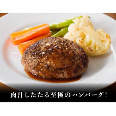 ふるさと納税 川南町 【さとふる限定】最高賞内閣総理大臣賞受賞宮崎牛ロースステーキ500g (ハンバーグ付き)(川南町)|y-sf|03
