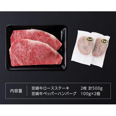 ふるさと納税 川南町 【さとふる限定】最高賞内閣総理大臣賞受賞宮崎牛ロースステーキ500g (ハンバーグ付き)(川南町)|y-sf|04