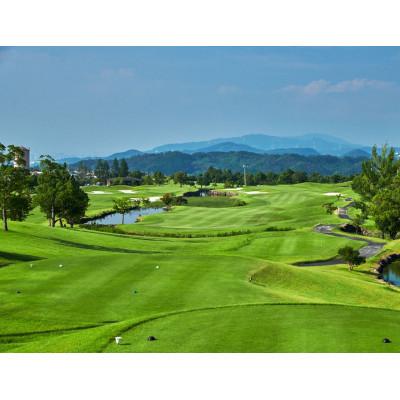 ふるさと納税 河南町 [土日祝セルフ1名様プレー券] ワールドカントリーゴルフクラブ 南河内 昼食付 チケット 大阪