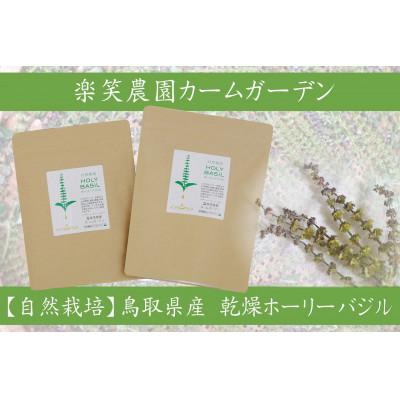 ふるさと納税 琴浦町 自然栽培 ハーブティー ホーリーバジル 40本(約半月分)|y-sf|02