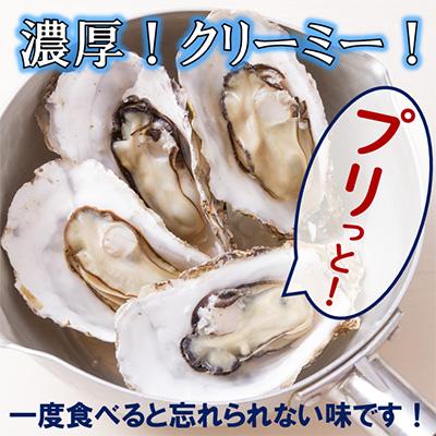 ふるさと納税 北見市 【訳あり】サロマ湖殻付きカキ貝(大きさ不揃い) 約5.5kg詰め｜y-sf｜03