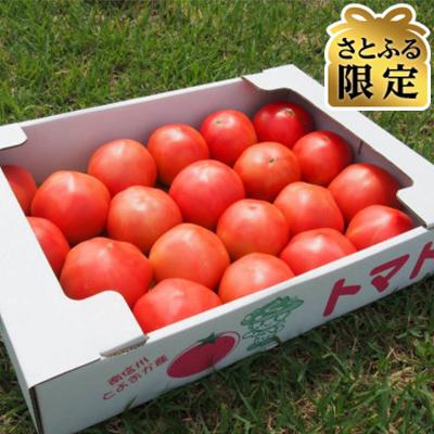 ふるさと納税 豊丘村 [さとふる限定]新鮮!はるる農園のトマト「桃太郎」約4kg