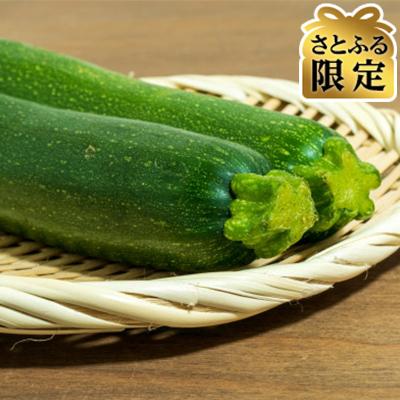 ふるさと納税 豊丘村 [さとふる限定]長野県産 宮嶋農園のズッキーニ 約2kg(11〜13本)