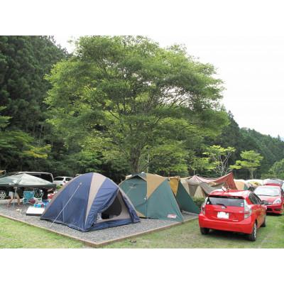 ふるさと納税 川根本町 [吉田町・川根本町共通返礼品]金豚王焼肉セット付き三ツ星オートキャンプ場宿泊券