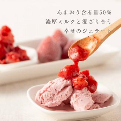 ふるさと納税 大川市 武下さんちの完熟あまおう50%ミルクジェラート 6