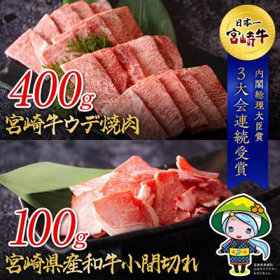 ふるさと納税 美郷町 宮崎牛 ウデ焼肉&amp;宮崎県産和牛小間切れ 合計500g(美郷町)