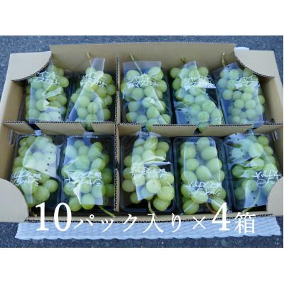 ふるさと納税 須坂市 【先行受付】シャインマスカット家庭用40パックまとめて!!《信州うちやま農園》10月下旬発送|y-sf|02