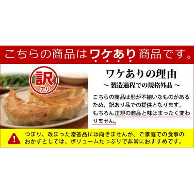 ふるさと納税 塩竈市 【訳あり品】こだわり本格生餃子100個(20人前)|y-sf|02