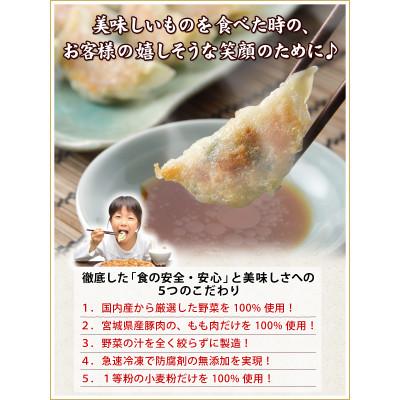 ふるさと納税 塩竈市 【訳あり品】こだわり本格生餃子100個(20人前)|y-sf|03