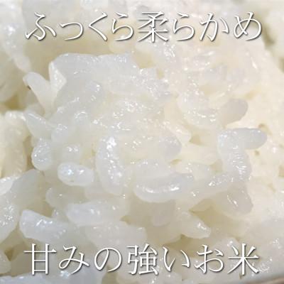 ふるさと納税 北名古屋市 コシヒカリ「別格」白米10kg(5kg×2袋)|y-sf|04