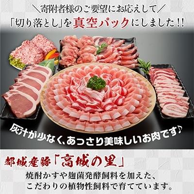 ふるさと納税 都城市 【さとふる限定】【使い易さ抜群】都城産豚「高城の里」わくわく4.1kgセット!!【期間限定】｜y-sf｜02