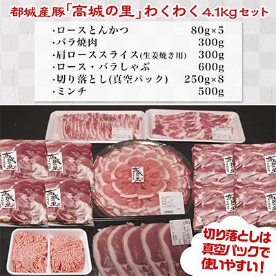 ふるさと納税 都城市 【さとふる限定】【使い易さ抜群】都城産豚「高城の里」わくわく4.1kgセット!!【期間限定】｜y-sf｜03