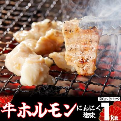 ふるさと納税 花巻市 味付け牛ホルモン 秘伝のたれ漬け にんにく塩味 1kg(500g×2パック)