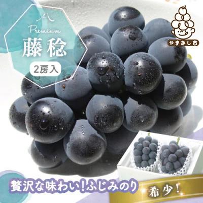 ふるさと納税 山梨市 [2026年発送分先行受付]藤稔 ふじみのり (種なし) 2房 約1kg 話題の大粒ぶどう
