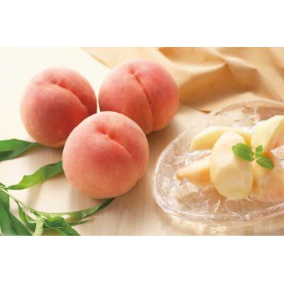ふるさと納税 南陽市 もも 川中島白桃 約3kg(8玉〜11玉) 化粧箱入り[S982]