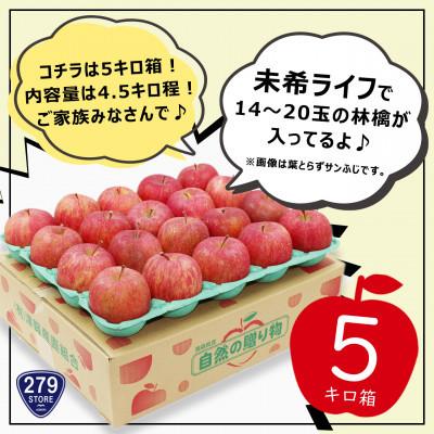 ふるさと納税 青森市 先行受付 2022年産 A品 未希ライフ 4.5kg(14〜20玉) 津軽産直組合 青森県産林檎|y-sf|03
