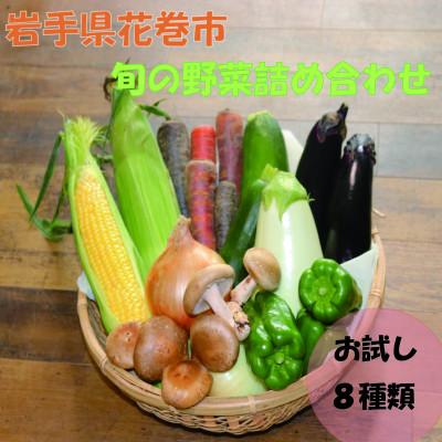 ふるさと納税 花巻市 旬の新鮮野菜セット お試し8種類 野菜セットA 詰め合わせ