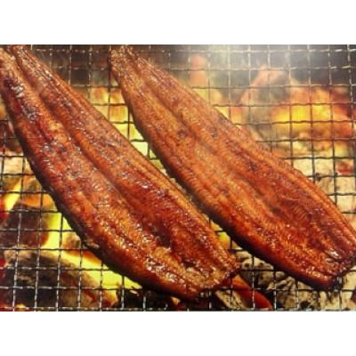 ふるさと納税 浜松市 浜名湖産鰻　蒲焼5本2セット_1