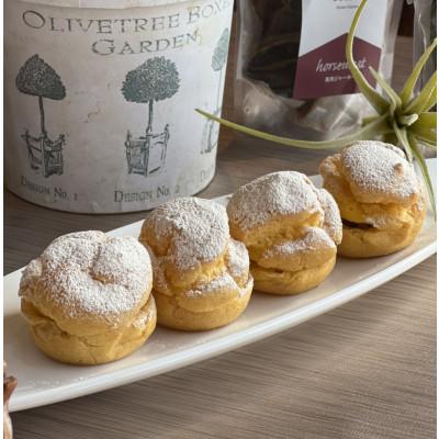 ふるさと納税 筑前町 犬のおやつ 米粉のシュークリーム 4個入り 99 Off