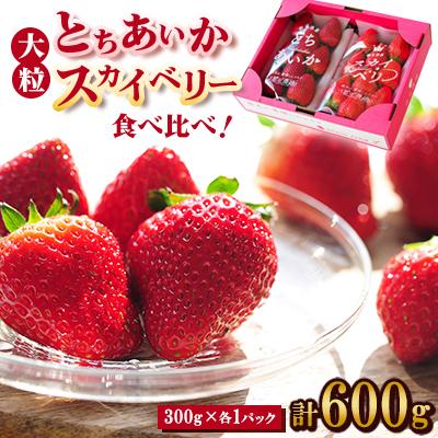 ふるさと納税 佐野市 [春イチゴ] 食べ比べ!大粒『スカイベリー』、『とちあいか』300g×1パックずつ
