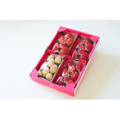 ふるさと納税 佐野市 [春いちご ]栃木のいちご4種詰め合わせセット!(300g×4パック)