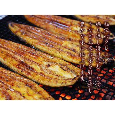ふるさと納税 鹿屋市 ブランド鰻食べ比べ『鯉家匠うなぎ』・『黒匠うなぎ』の蒲焼2尾セット計280g 1648|y-sf|02