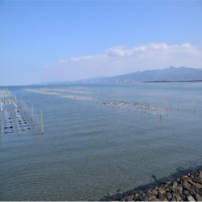 ふるさと納税 玉名市 有明海産 焼のり(全型海苔) 110枚|y-sf|04