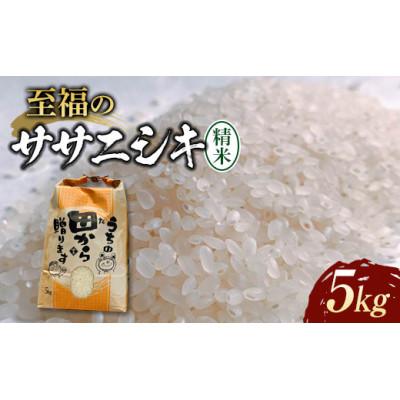 ふるさと納税 新庄市 先行受付 令和6年 至福のササニシキ(精米)5kg